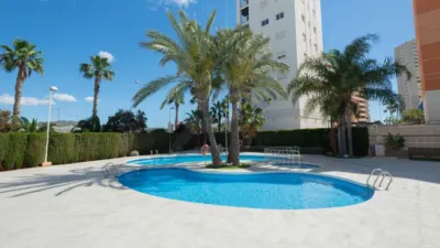 Apartment at Avinguda Juan Carlos I, 4 photo 20