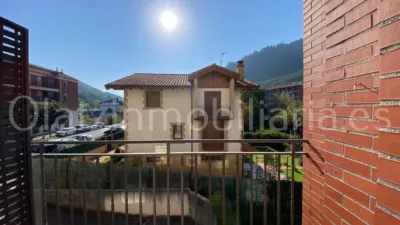Flat in Balmaseda photo 5