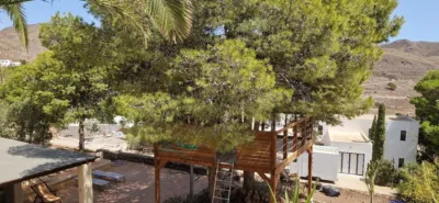 House in Las Negras photo 20