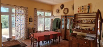 House in Las Negras photo 33
