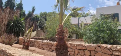 House in Las Negras photo 81