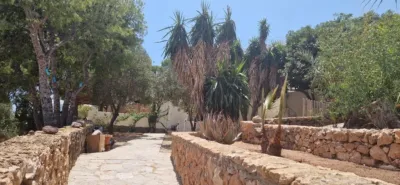 House in Las Negras photo 82