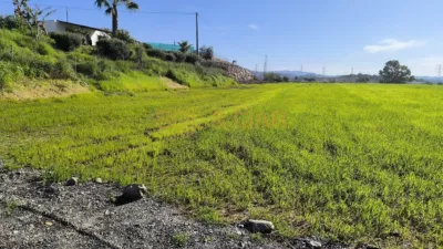 Rustic finca on Calle 2 photo 5