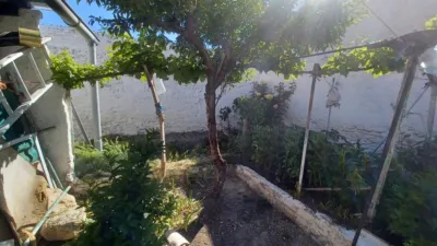 House in Minaya photo 14