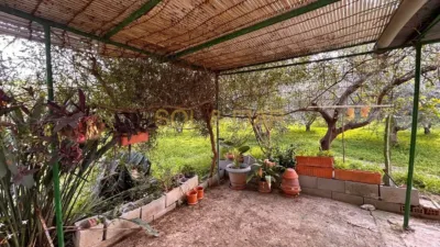 Rustic Finca in Estación photo 28
