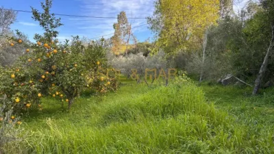 Rustic Finca in Estación photo 2