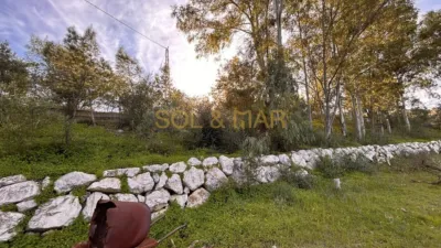 Rustic Finca in Estación photo 35