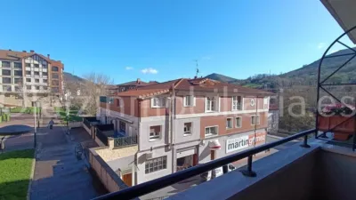 Apartment in Balmaseda photo 16