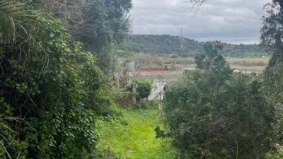 Rustic Finca in La Barca photo 11