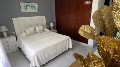 Apartment in Nueva Zona photo 9