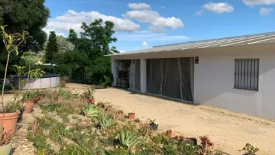 Rustic Finca in El Soto photo 15