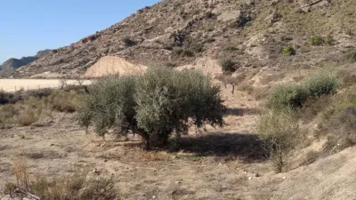Rustic Finca in Urcal - Rambla Grande photo 31