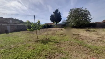 House in Barcena de Cicero photo 12