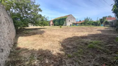 House in Barcena de Cicero photo 17