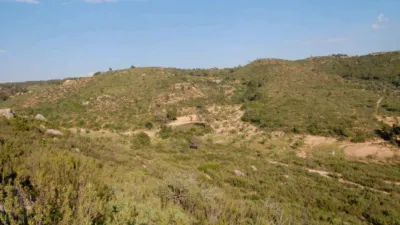 Finca rústica en venta en Granadella (La), La Granadella de 850.000 €
