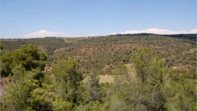 Finca rústica en venta en Granadella (La), La Granadella de 850.000 €