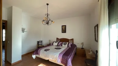 Rustic finca on Calle Ds Quijiliana S-N photo 26