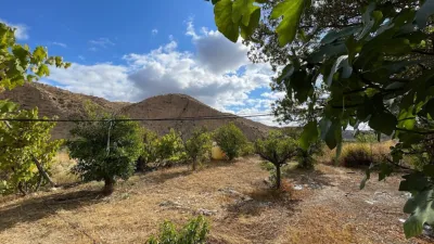 Rustic finca on Calle Ds Quijiliana S-N photo 53