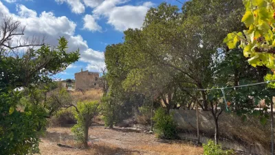 Rustic finca on Calle Ds Quijiliana S-N photo 54