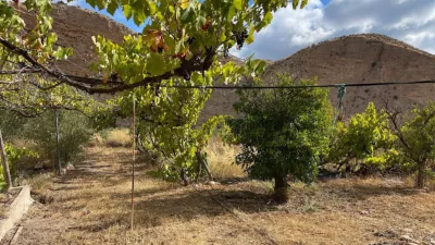 Rustic finca on Calle Ds Quijiliana S-N photo 58