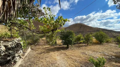 Rustic finca on Calle Ds Quijiliana S-N photo 59