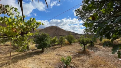 Rustic finca on Calle Ds Quijiliana S-N photo 60