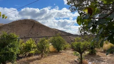 Rustic finca on Calle Ds Quijiliana S-N photo 61