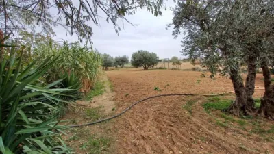 Finca rústica en venta en San Isidro, La Roda de 150.000 €