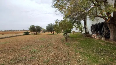 Finca rústica en venta en San Isidro, La Roda de 150.000 €