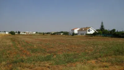 Rustic Finca in Roche Viejo photo 2