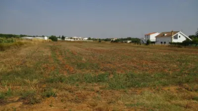 Rustic Finca in Roche Viejo photo 3