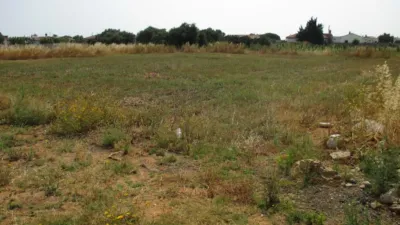 Rustic Finca in Roche Viejo photo 5