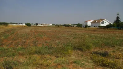 Rustic Finca in Roche Viejo photo 6