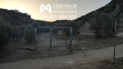 Rustic farm in Alcalá del Valle photo 12
