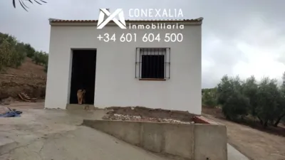 Rustic farm in Alcalá del Valle photo 16