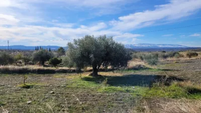 Rustic finca on Calle Er Diseminados Rincon Postrero Sn, nº Sn photo 28