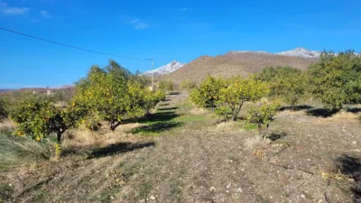 Rustic finca on Calle Er Diseminados Rincon Postrero Sn, nº Sn photo 31