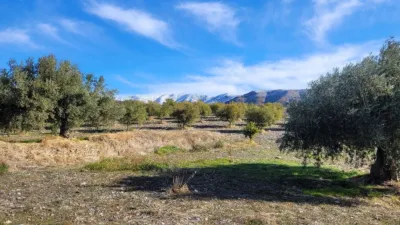 Rustic finca on Calle Er Diseminados Rincon Postrero Sn, nº Sn photo 33
