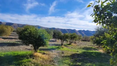 Rustic finca on Calle Er Diseminados Rincon Postrero Sn, nº Sn photo 34
