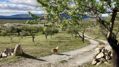 Rustic finca on Calle Er Diseminados Rincon Postrero Sn, nº Sn photo 62