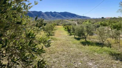 Rustic finca on Calle Er Diseminados Rincon Postrero Sn, nº Sn photo 66