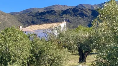 Rustic finca on Calle Er Diseminados Rincon Postrero Sn, nº Sn photo 67