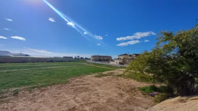 Apartment in Avileses photo 31