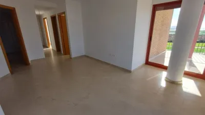 Apartment in Avileses photo 3