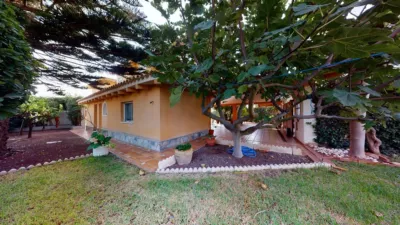 Chalet in Cabo Roig photo 45