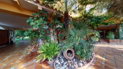 Chalet in Cabo Roig photo 8