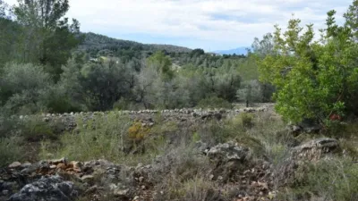 Rustic Finca in Camí de Nivera photo 16