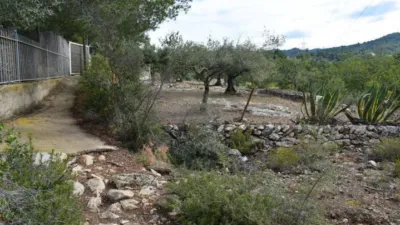Rustic Finca in Camí de Nivera photo 17
