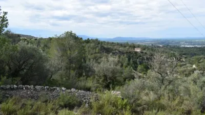 Rustic Finca in Camí de Nivera photo 18