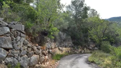 Rustic Finca in Camí de Nivera photo 29